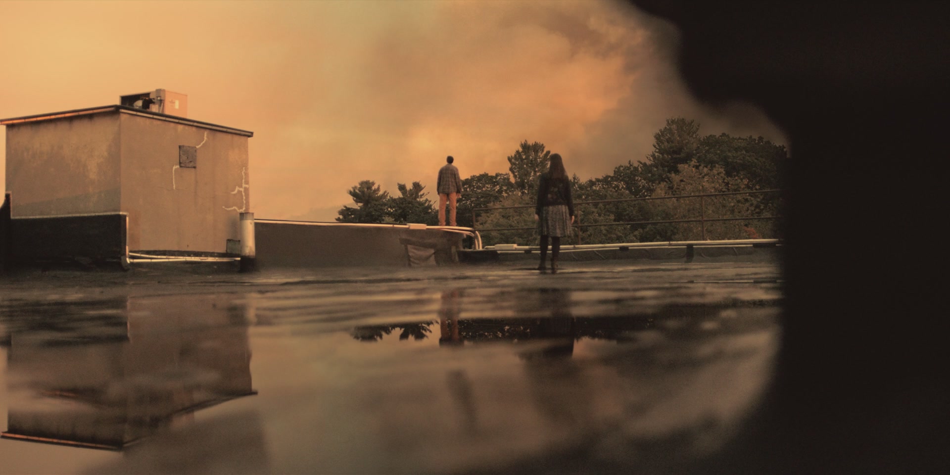 BSN105-101.jpg BSN105-101.jpg