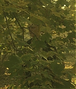 Filename=BSN108-237.jpg
Filesize=161KiB
Dimensions=1920x1080
Date added=Apr 29, 2021 BSN108-237.jpg