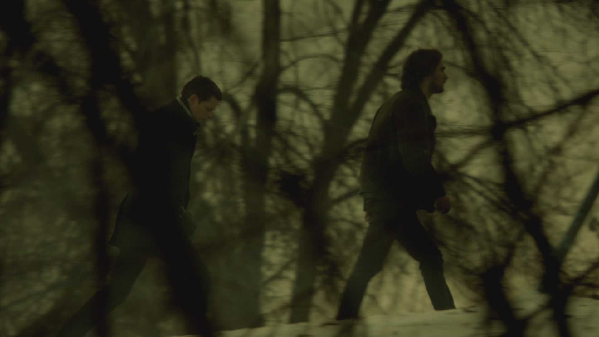 BSN207-225.jpg BSN207-225.jpg