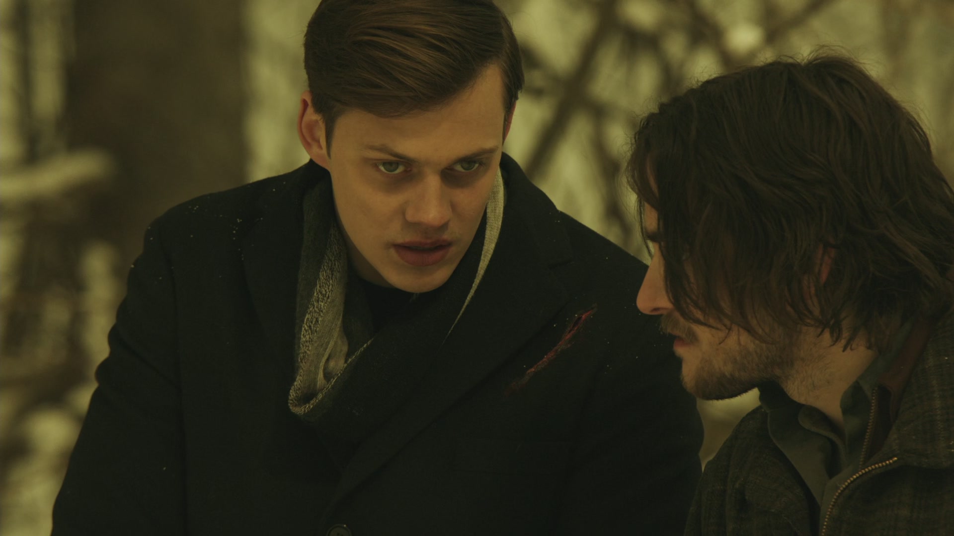 BSN208-068.jpg